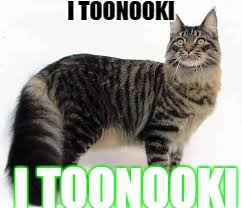 I TOONOOKI I TOONOOKI | image tagged in toonooki | made w/ Imgflip meme maker