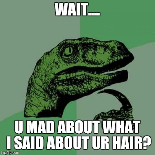 Philosoraptor | WAIT.... U MAD ABOUT WHAT I SAID ABOUT UR HAIR? | image tagged in memes,philosoraptor | made w/ Imgflip meme maker