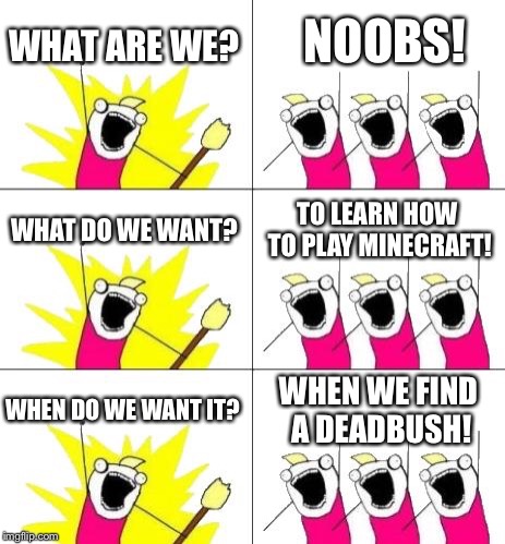 What Do We Want 3 Meme | WHAT ARE WE? NOOBS! WHAT DO WE WANT? TO LEARN HOW TO PLAY MINECRAFT! WHEN DO WE WANT IT? WHEN WE FIND A DEADBUSH! | image tagged in memes,what do we want 3 | made w/ Imgflip meme maker
