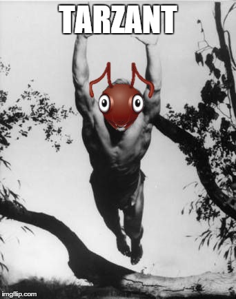Tarzan | TARZANT | image tagged in denny miller leaping tarzan happy birthday | made w/ Imgflip meme maker