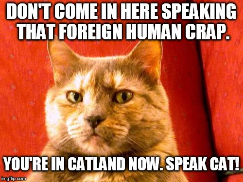 Suspicious Cat Meme | DON'T COME IN HERE SPEAKING THAT FOREIGN HUMAN CRAP. YOU'RE IN CATLAND NOW. SPEAK CAT! | image tagged in memes,suspicious cat | made w/ Imgflip meme maker