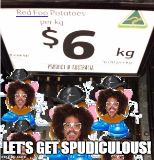 LET'S GET SPUDICULOUS! | image tagged in lmfao,redfoo,xfactor,partyrockin | made w/ Imgflip meme maker