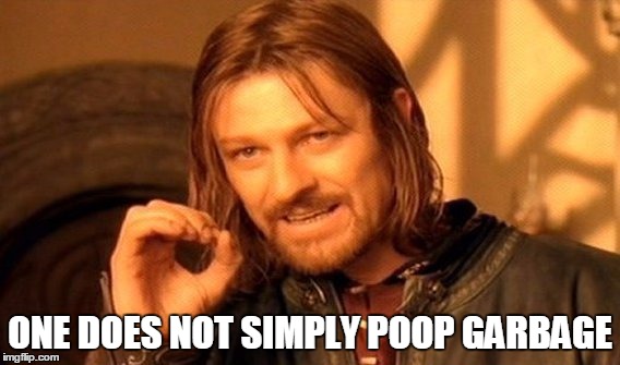 One Does Not Simply Meme | ONE DOES NOT SIMPLY POOP GARBAGE | image tagged in memes,one does not simply | made w/ Imgflip meme maker