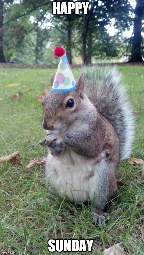 Super Birthday Squirrel Meme | HAPPY SUNDAY | image tagged in memes,super birthday squirrel | made w/ Imgflip meme maker