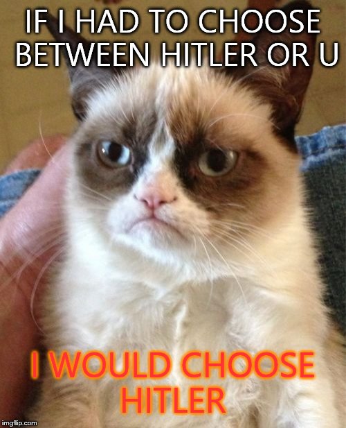 Grumpy Cat | IF I HAD TO CHOOSE BETWEEN HITLER OR U I WOULD CHOOSE HITLER | image tagged in memes,grumpy cat | made w/ Imgflip meme maker