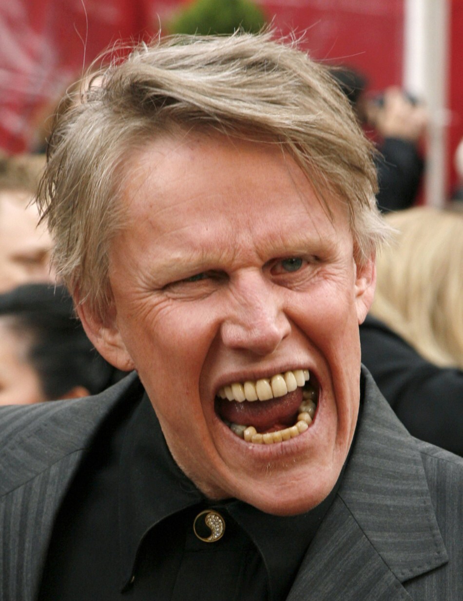 High Quality Busey birthday  Blank Meme Template