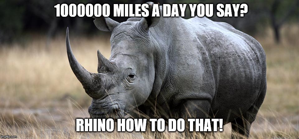 rhino | 1000000 MILES A DAY YOU SAY? RHINO HOW TO DO THAT! | image tagged in rhino | made w/ Imgflip meme maker