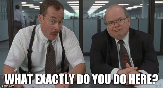 office space what do you do here | WHAT EXACTLY DO YOU DO HERE? | image tagged in office space what do you do here,AdviceAnimals | made w/ Imgflip meme maker