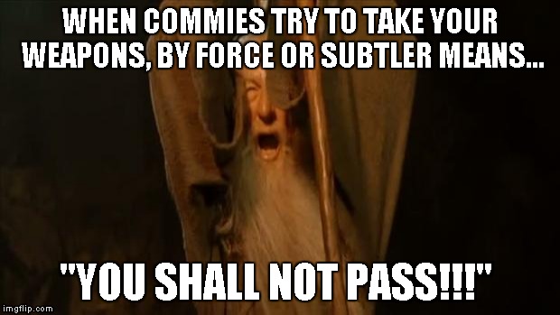 Gandalf | WHEN COMMIES TRY TO TAKE YOUR WEAPONS, BY FORCE OR SUBTLER MEANS... "YOU SHALL NOT PASS!!!" | image tagged in gandalf | made w/ Imgflip meme maker