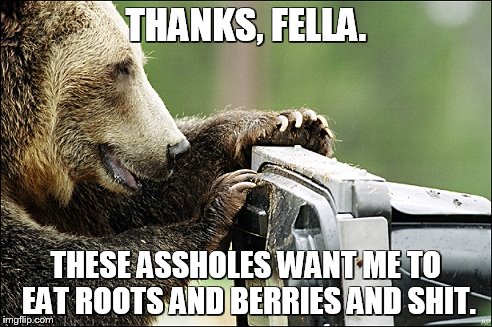 hungry bear | THANKS, FELLA. THESE ASSHOLES WANT ME TO EAT ROOTS AND BERRIES AND SHIT. | image tagged in bear | made w/ Imgflip meme maker
