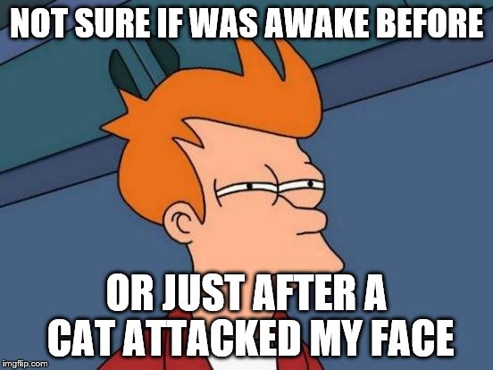 Futurama Fry Meme | NOT SURE IF WAS AWAKE BEFORE OR JUST AFTER A CAT ATTACKED MY FACE | image tagged in memes,futurama fry | made w/ Imgflip meme maker