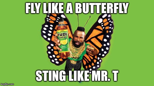 FLY LIKE A BUTTERFLY STING LIKE MR. T | image tagged in mr t butterfly | made w/ Imgflip meme maker