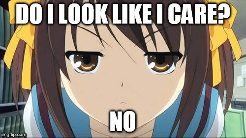 Haruhi stare | DO I LOOK LIKE I CARE? NO | image tagged in haruhi stare | made w/ Imgflip meme maker