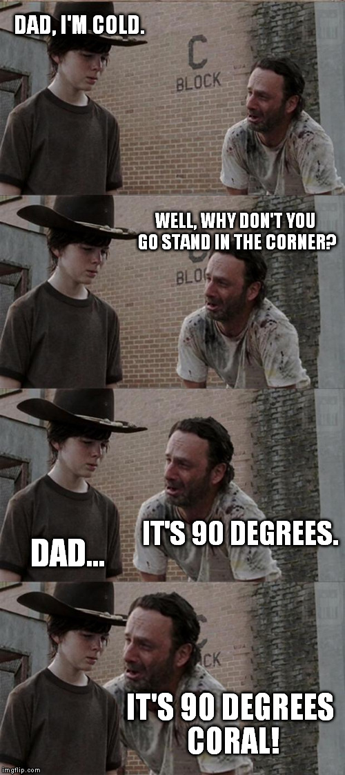 Rick and Carl Long | DAD, I'M COLD. WELL, WHY DON'T YOU GO STAND IN THE CORNER? IT'S 90 DEGREES. DAD... IT'S 90 DEGREES CORAL! | image tagged in memes,rick and carl long | made w/ Imgflip meme maker
