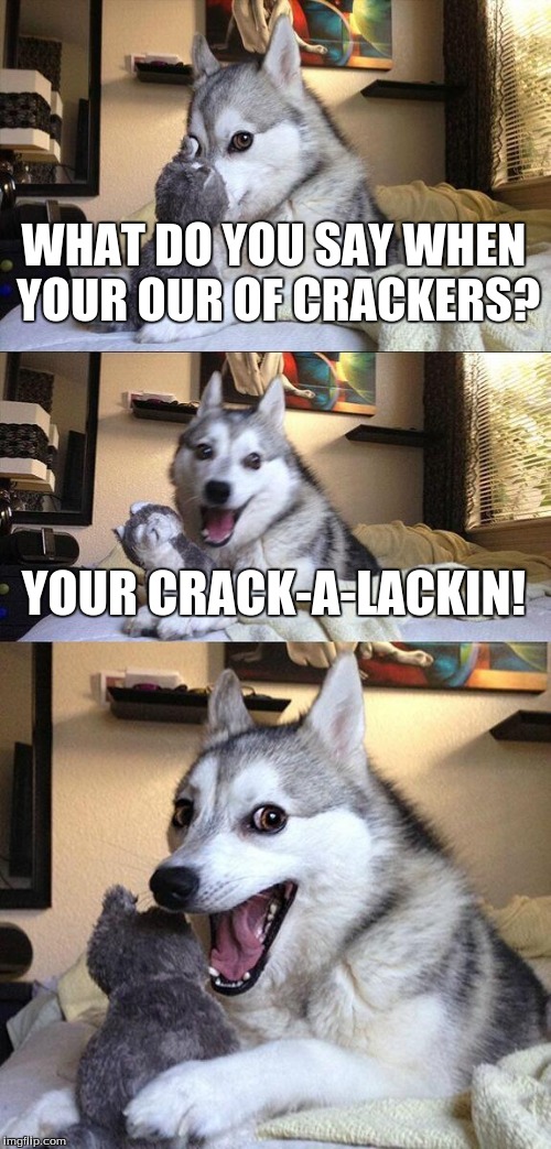 Bad Pun Dog | WHAT DO YOU SAY WHEN YOUR OUR OF CRACKERS? YOUR CRACK-A-LACKIN! | image tagged in memes,bad pun dog | made w/ Imgflip meme maker