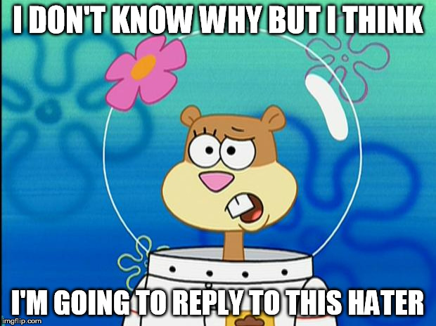 On online you'll see people do this to start a fight... | I DON'T KNOW WHY BUT I THINK I'M GOING TO REPLY TO THIS HATER | image tagged in sandy i don't know why,spongebob | made w/ Imgflip meme maker