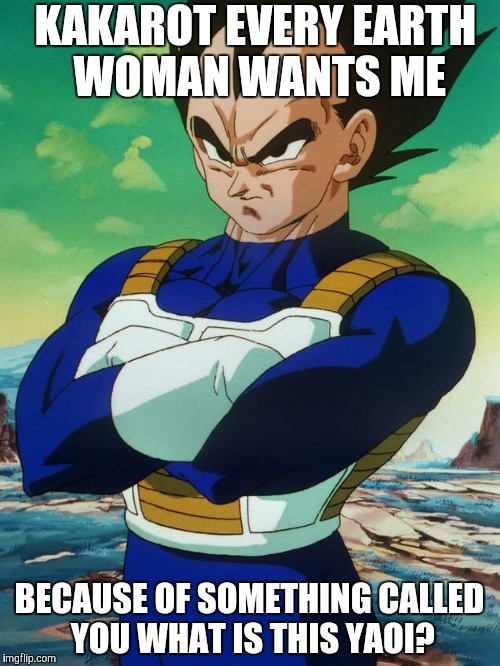 Vegeta | KAKAROT EVERY EARTH WOMAN WANTS ME BECAUSE OF SOMETHING CALLED YOU WHAT IS THIS YAOI? | image tagged in vegeta | made w/ Imgflip meme maker