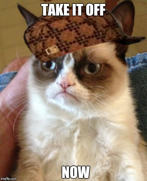 Grumpy Scumbag Cat | TAKE IT OFF NOW | image tagged in memes,grumpy cat,scumbag | made w/ Imgflip meme maker