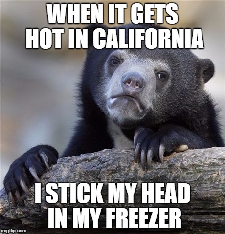 Confession Bear Meme | WHEN IT GETS HOT IN CALIFORNIA I STICK MY HEAD IN MY FREEZER | image tagged in memes,confession bear | made w/ Imgflip meme maker