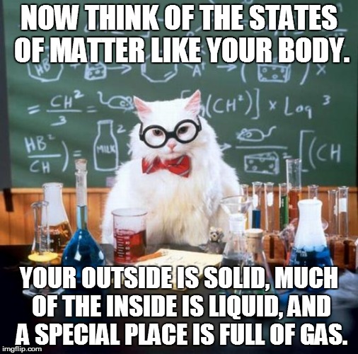 It's not chemistry, but hey! | NOW THINK OF THE STATES OF MATTER LIKE YOUR BODY. YOUR OUTSIDE IS SOLID, MUCH OF THE INSIDE IS LIQUID, AND A SPECIAL PLACE IS FULL OF GAS. | image tagged in memes,chemistry cat | made w/ Imgflip meme maker