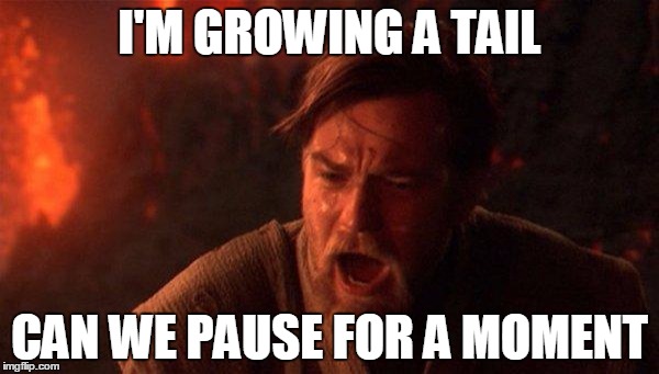 You Were The Chosen One (Star Wars) Meme | I'M GROWING A TAIL CAN WE PAUSE FOR A MOMENT | image tagged in you were the chosen one star wars | made w/ Imgflip meme maker