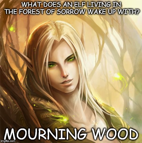 Elf jokes | WHAT DOES AN ELF LIVING IN THE FOREST OF SORROW WAKE UP WITH? MOURNING WOOD | image tagged in elf jokes | made w/ Imgflip meme maker