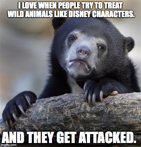 Confession Bear | I LOVE WHEN PEOPLE TRY TO TREAT WILD ANIMALS LIKE DISNEY CHARACTERS. AND THEY GET ATTACKED. | image tagged in memes,confession bear,AdviceAnimals | made w/ Imgflip meme maker