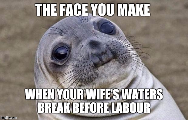 Awkward Moment Sealion | THE FACE YOU MAKE WHEN YOUR WIFE'S WATERS BREAK BEFORE LABOUR | image tagged in memes,awkward moment sealion | made w/ Imgflip meme maker