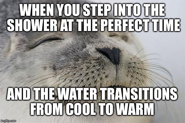 Satisfied Seal | WHEN YOU STEP INTO THE SHOWER AT THE PERFECT TIME AND THE WATER TRANSITIONS FROM COOL TO WARM | image tagged in memes,satisfied seal | made w/ Imgflip meme maker