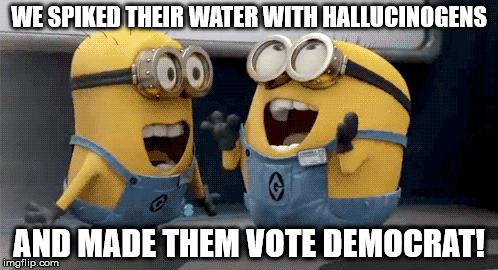 Excited Minions Meme | WE SPIKED THEIR WATER WITH HALLUCINOGENS AND MADE THEM VOTE DEMOCRAT! | image tagged in excited minions  | made w/ Imgflip meme maker