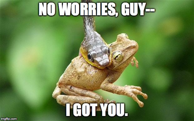 No Worries Guy Imgflip