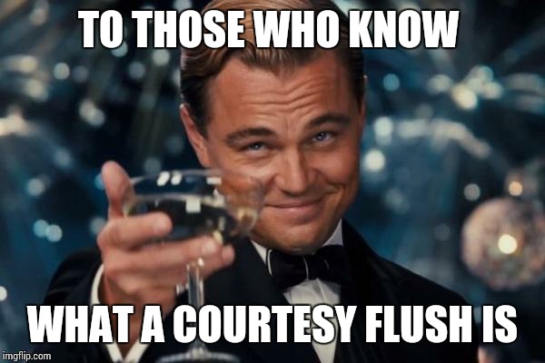Leonardo Dicaprio Cheers Meme | TO THOSE WHO KNOW WHAT A COURTESY FLUSH IS | image tagged in memes,leonardo dicaprio cheers | made w/ Imgflip meme maker