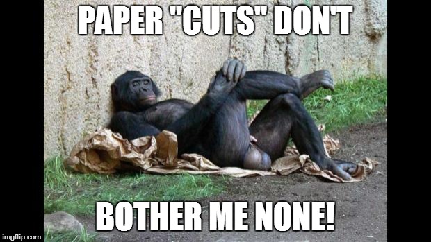 COVERAGE CONCERNS! | PAPER "CUTS" DON'T BOTHER ME NONE! | image tagged in big balls gorilla,press,fearless,school,lottery | made w/ Imgflip meme maker