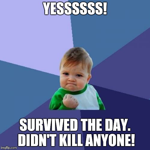 Success Kid Meme | YESSSSSS! SURVIVED THE DAY. DIDN'T KILL ANYONE! | image tagged in memes,success kid | made w/ Imgflip meme maker