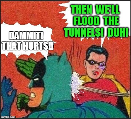 Robin slaps | THEN  WE'LL FLOOD  THE TUNNELS!  DUH! DAMMIT!  THAT HURTS!! | image tagged in robin slaps | made w/ Imgflip meme maker