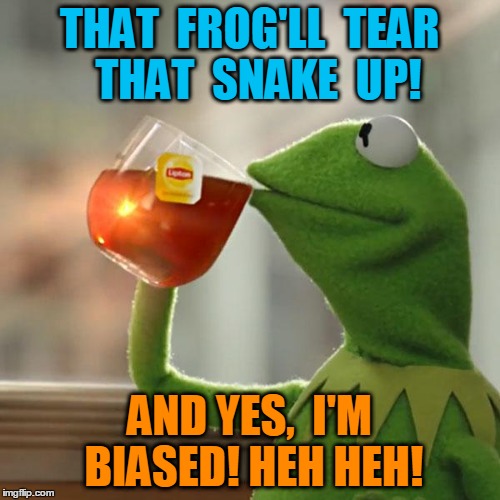But That's None Of My Business Meme | THAT  FROG'LL  TEAR  THAT  SNAKE  UP! AND YES,  I'M BIASED! HEH HEH! | image tagged in memes,but thats none of my business,kermit the frog | made w/ Imgflip meme maker