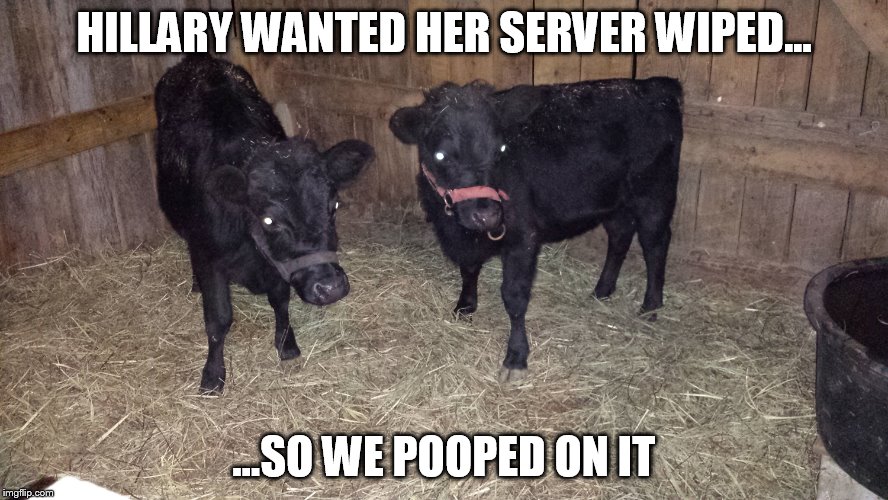 Hillary server | HILLARY WANTED HER SERVER WIPED... ...SO WE POOPED ON IT | image tagged in hillary server,hillary clinton,server | made w/ Imgflip meme maker