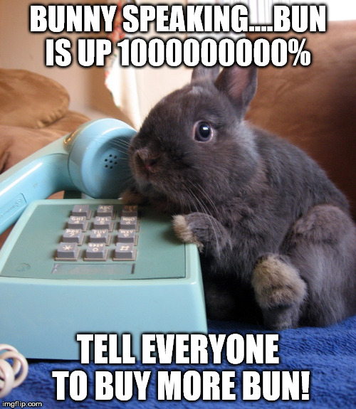 BUNNY SPEAKING....BUN IS UP 1000000000% TELL EVERYONE TO BUY MORE BUN! | made w/ Imgflip meme maker