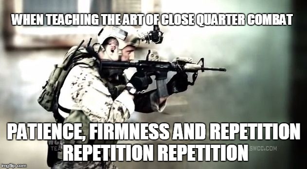 Dead or alive | WHEN TEACHING THE ART OF CLOSE QUARTER COMBAT PATIENCE, FIRMNESS AND REPETITION REPETITION REPETITION | image tagged in dead or alive | made w/ Imgflip meme maker