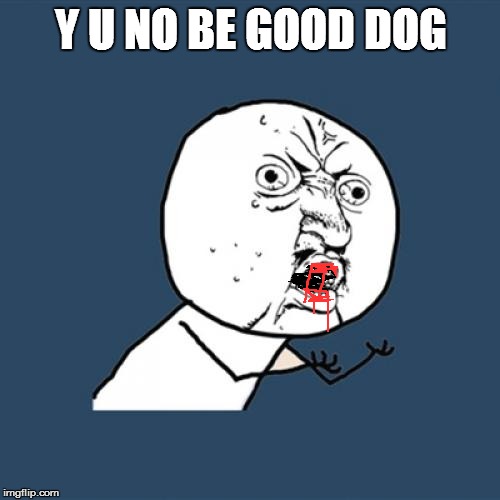 Y U No Meme | Y U NO BE GOOD DOG | image tagged in memes,y u no | made w/ Imgflip meme maker