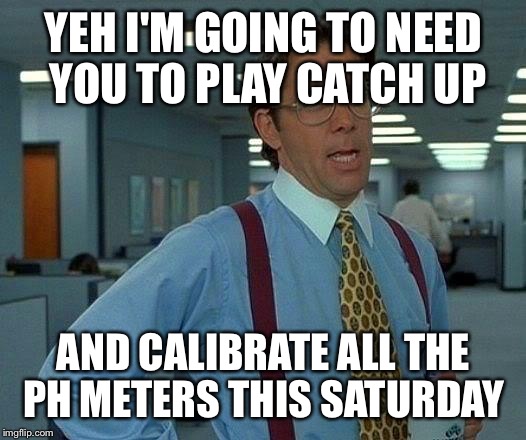 That Would Be Great Meme | YEH I'M GOING TO NEED YOU TO PLAY CATCH UP AND CALIBRATE ALL THE PH METERS THIS SATURDAY | image tagged in memes,that would be great | made w/ Imgflip meme maker