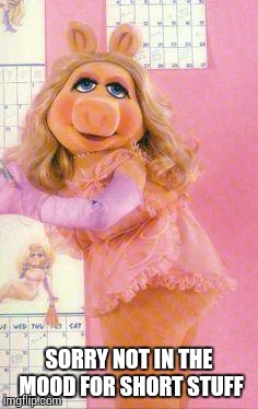 Miss Piggy | SORRY NOT IN THE MOOD FOR SHORT STUFF | image tagged in miss piggy | made w/ Imgflip meme maker