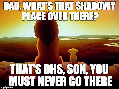 Lion King | DAD, WHAT'S THAT SHADOWY PLACE OVER THERE? THAT'S DHS, SON, YOU MUST NEVER GO THERE | image tagged in memes,lion king | made w/ Imgflip meme maker