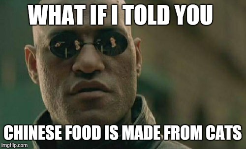 Matrix Morpheus | WHAT IF I TOLD YOU CHINESE FOOD IS MADE FROM CATS | image tagged in memes,matrix morpheus | made w/ Imgflip meme maker