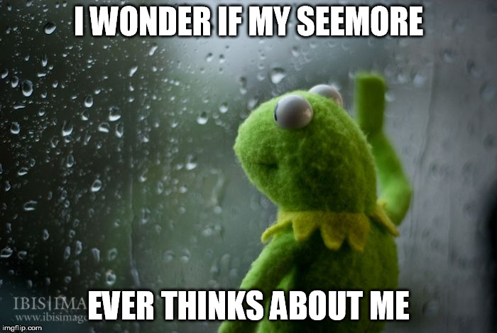 kermit window | I WONDER IF MY SEEMORE EVER THINKS ABOUT ME | image tagged in kermit window | made w/ Imgflip meme maker