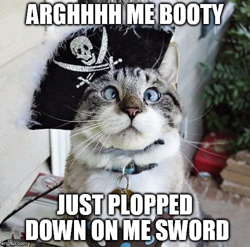 Spangles | ARGHHHH ME BOOTY JUST PLOPPED DOWN ON ME SWORD | image tagged in memes,spangles | made w/ Imgflip meme maker