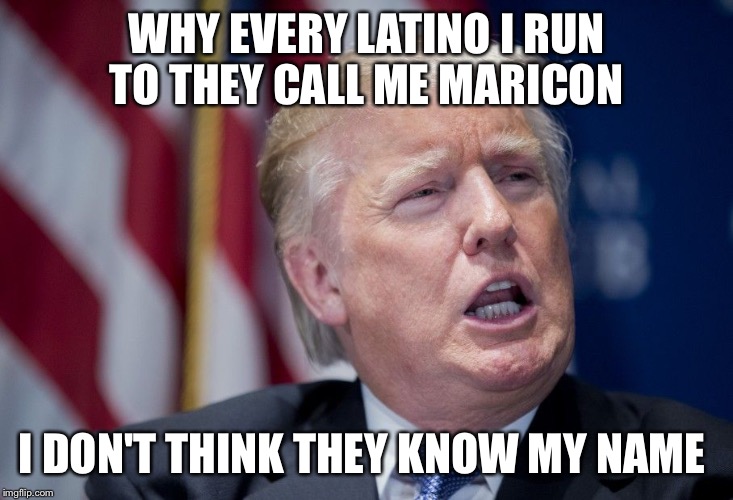 Donald Trump Derp | WHY EVERY LATINO I RUN TO THEY CALL ME MARICON I DON'T THINK THEY KNOW MY NAME | image tagged in donald trump derp | made w/ Imgflip meme maker