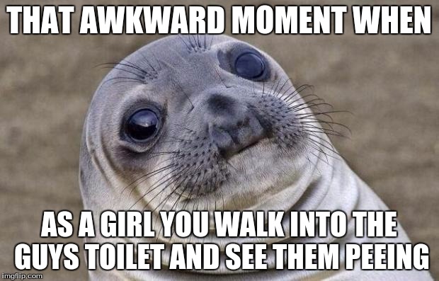 Awkward Moment Sealion Meme | THAT AWKWARD MOMENT WHEN AS A GIRL YOU WALK INTO THE GUYS TOILET AND SEE THEM PEEING | image tagged in memes,awkward moment sealion | made w/ Imgflip meme maker