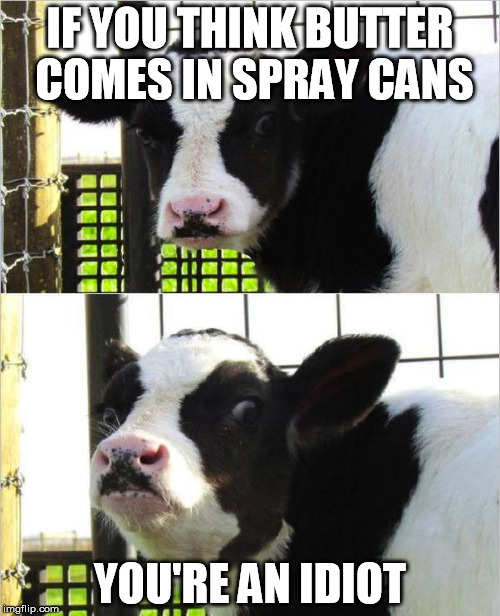 cows | IF YOU THINK BUTTER COMES IN SPRAY CANS YOU'RE AN IDIOT | image tagged in cows | made w/ Imgflip meme maker