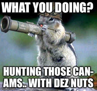 Bazooka Squirrel Meme | WHAT YOU DOING? HUNTING THOSE CAN- AMS.. WITH DEZ NUTS | image tagged in memes,bazooka squirrel | made w/ Imgflip meme maker